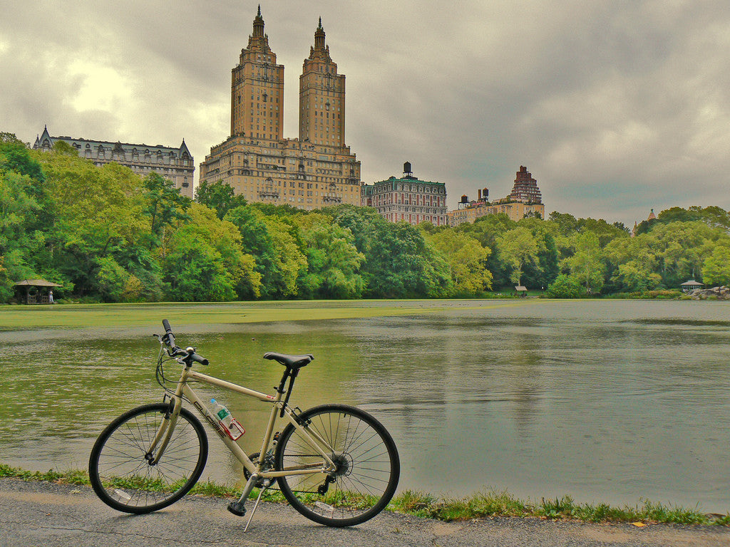 ALUGUEL - Bicicleta no Central Park